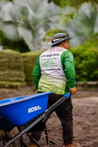 sod-installation-brandon-fl (1)