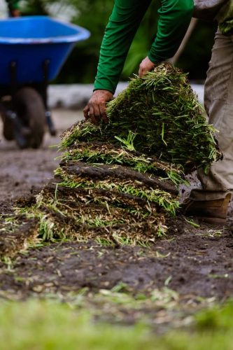 st-augustine-sod-brandon-fl (1)