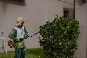 Top Lawn Pros Hedge Trimming 0I4A9383